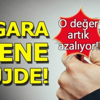 Sigaralarda nikotin değerleri düşürülecek