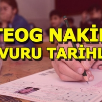 TEOG boş lise kontenjan sorgulama sayfası