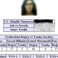 Yerleştirme düzenlemeleri YÖK veritabanında