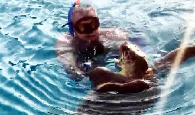 Caretta Caretta dehşet saçtı