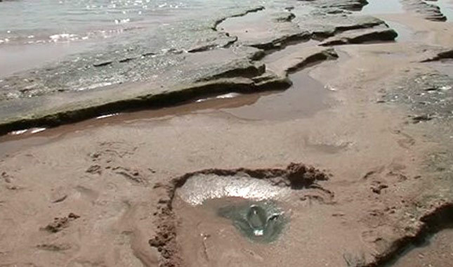 Fas'ta 85 milyon yıllık dinozor izleri bulundu