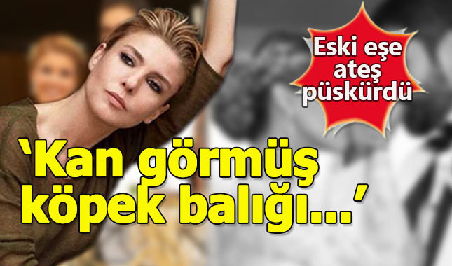 Gülben Ergen'den eski eşine: "Kan görmüş köpek balığı gibi..."