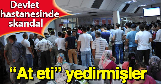 Hastanelere yemek dağıtan firmanın yemeklerinde at eti çıktı