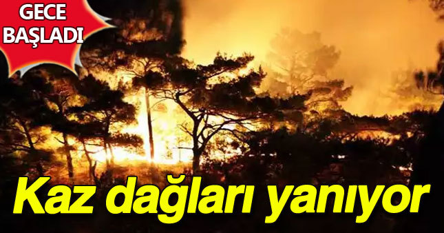 Kazdağları yanıyor