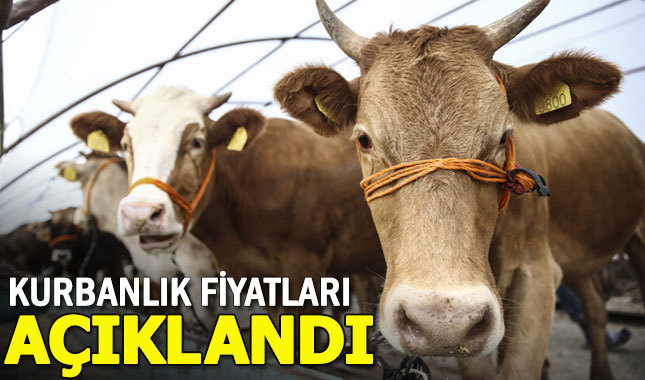 2018 kurbanlık fiyatları açıklandı - Büyükbaş ve küçükbaş hayvan fiyatları ne kadar?