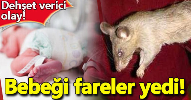 3 aylık bebeği fareler yedi!