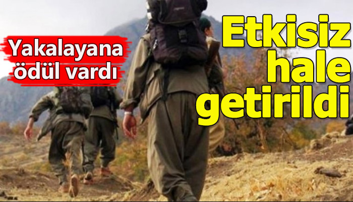 300 bin TL ödülle aranan terörist etkisiz hale getirildi