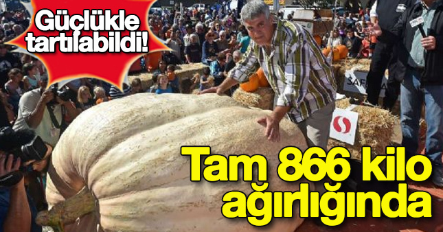 866 kiloluk bal kabağı şaşırttı
