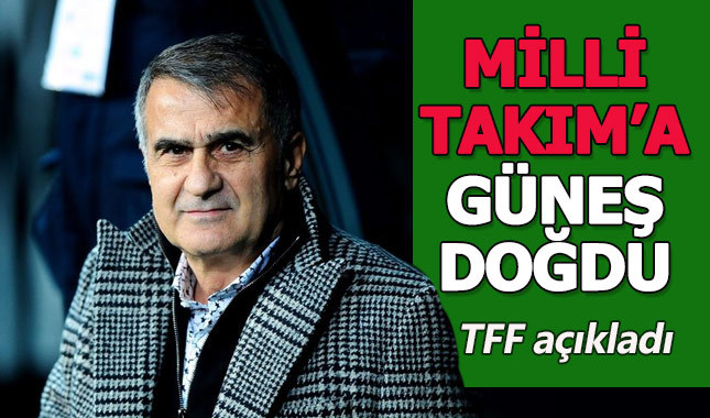 A Milli Takım 2. Şenol Güneş dönemi resmen başladı