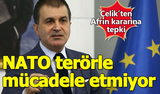 AB Bakanı Ömer Çelik'ten Afrin kararına tepki