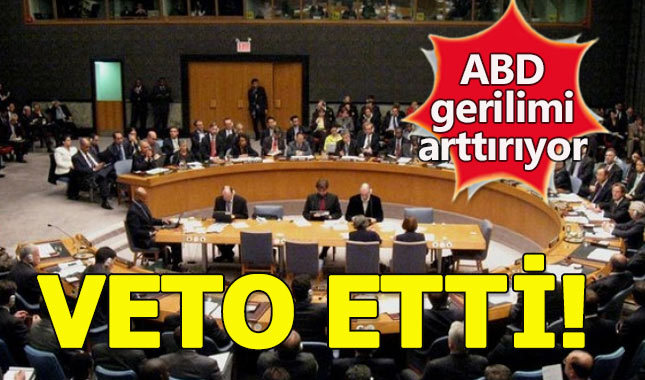 ABD, BM Güvenlik Konseyi tasarısını reddetti