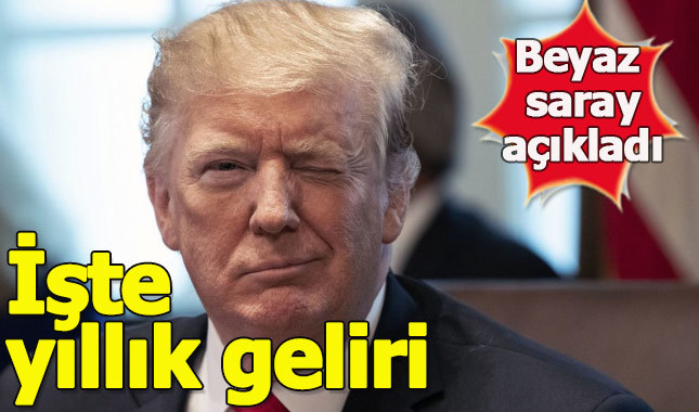 ABD Başkanı Donald Trump'ın 2018 yılındaki geliri belli oldu