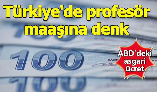 ABD'deki asgari ücret, Türkiye'de profesör maaşına denk