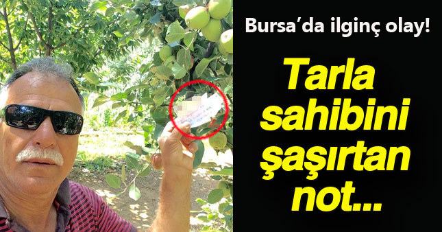 Ağaca bırakılan not tarla sahibini şaşırttı