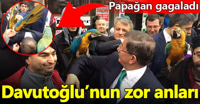 Ahmet Davutoğlu'nun papağanla zor anları