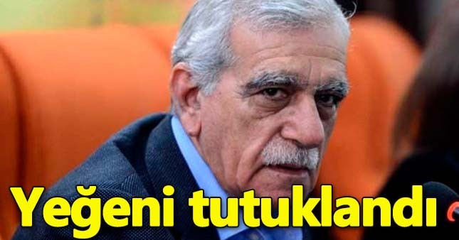 Ahmet Türk'ün yeğeni Ferhan Türk yutuklandı