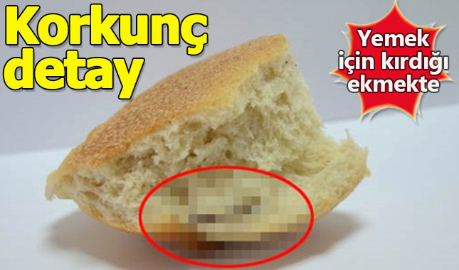Aldığı ekmeğin içinden fare kuyruğu çıktı!
