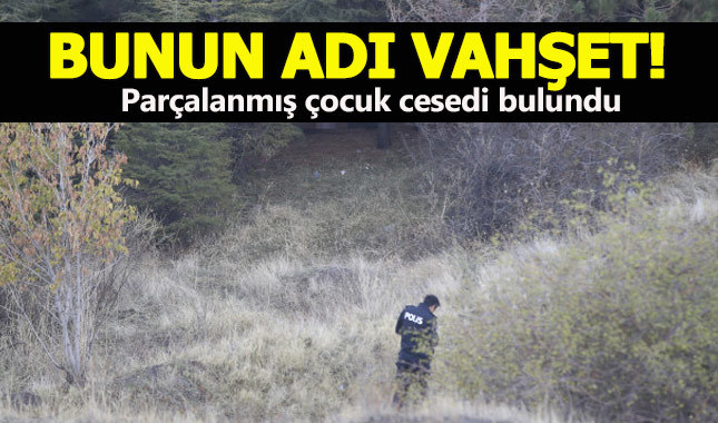 Ankara'da parçalanmış çocuk cesedi bulundu