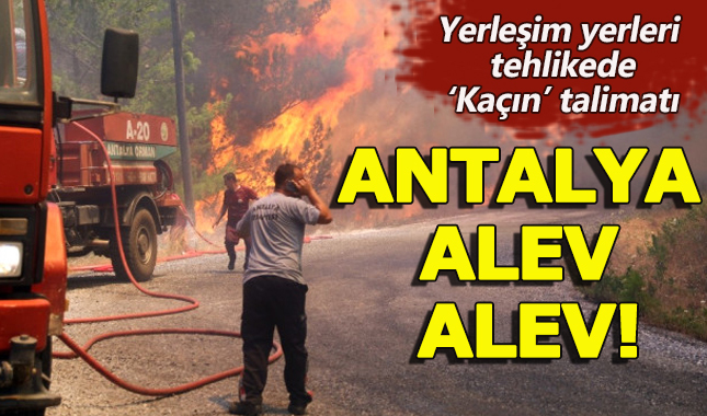 Antalya haberleri - Antalya'da ormanları cayır cayır yanıyor