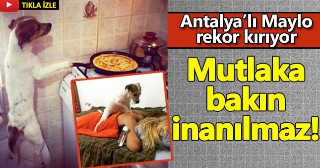 Antalya'lu Maylo izlenme rekoru kırıyor