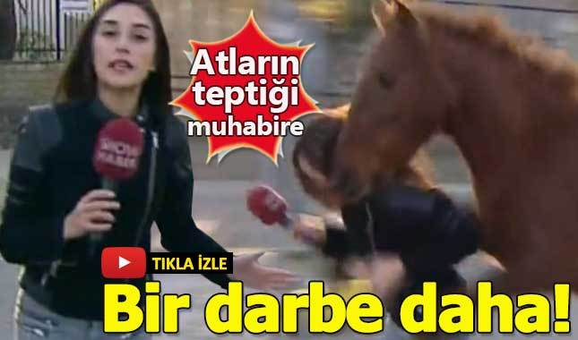 Atların teptiği Show TV muhabirine bir darbe daha