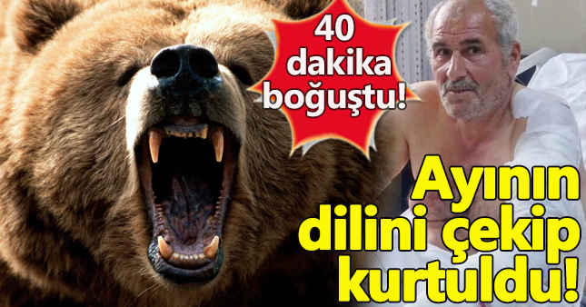 Ayı saldırısından yaralı olarak kurtuldu