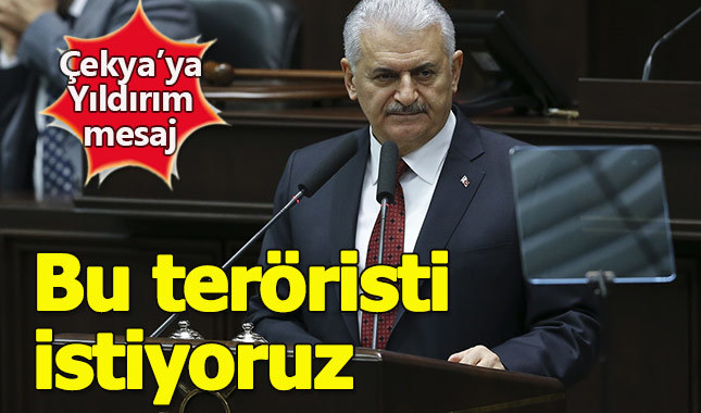 Başbakan Yıldırım: "Bu teröristin iadesini bekliyoruz"