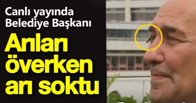 Belediye Başkanı konuşurken arı soktu