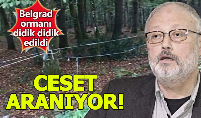 Belgrad ormanı nerede, nasıl gidilir - Suudi gazeteci Kaçıkçı Belgrad'a mı gömüldü?