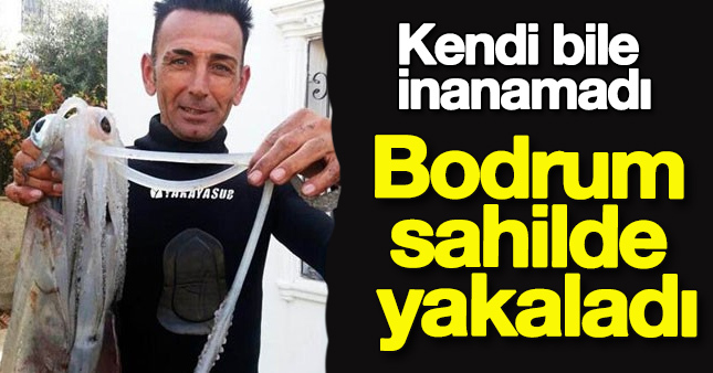 Bodrum’da dev kalamar yakalandı