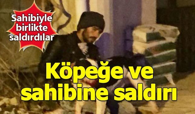 Bu kez sahibiyle birlikte saldırdılar