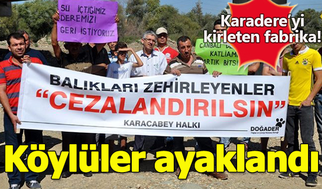 Bursa'lı köylüler Karadere'yi kirleten fabrika yüzünden ayaklandı