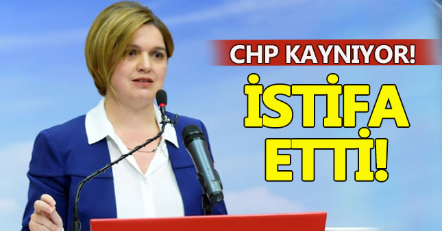 Selin Sayek Böke kimdir, neden istifa etti?