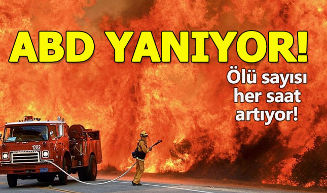 California eyaleti alevlere teslim oldu