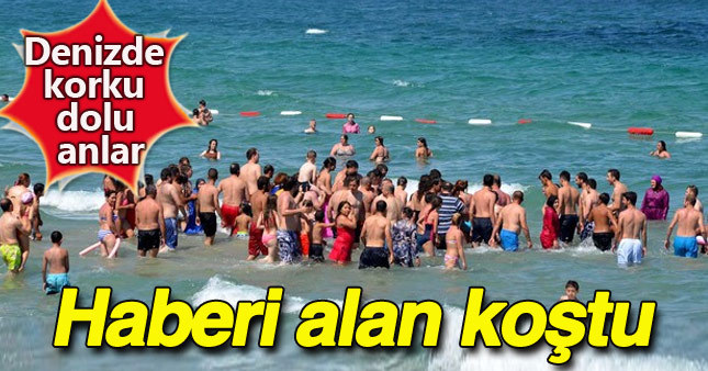 Çanakkale halkı seferber oldu
