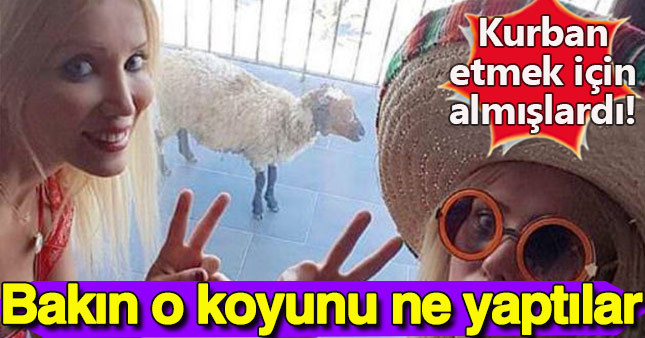 Cicişlerden kurbanlık koyun kararı