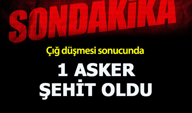 Çığ düşmesi sonucu bir asker şehit oldu