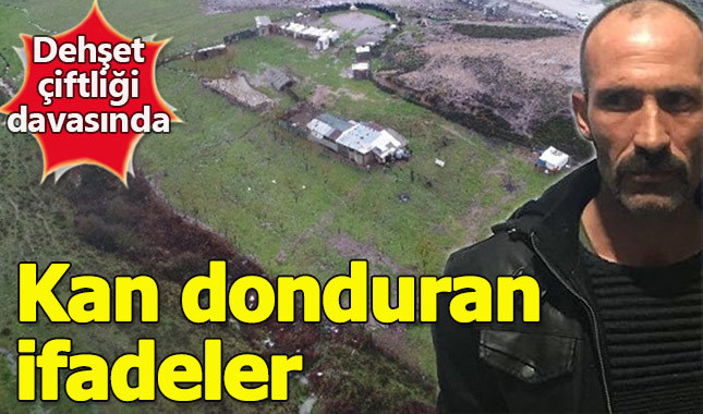 Cinsel istismar çiftliğinden kan donduran ifadeler