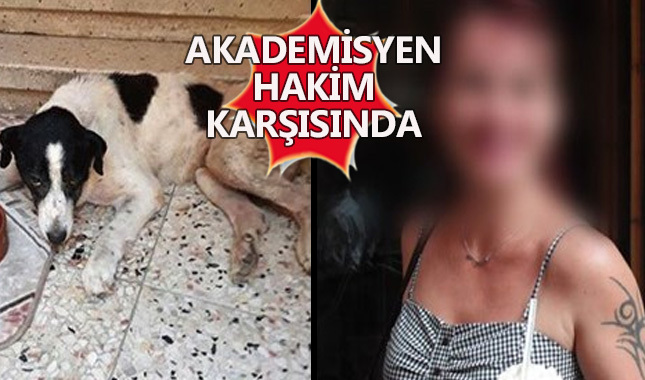 Akademisyen hayvan öldürme suçundan hakim karşısında