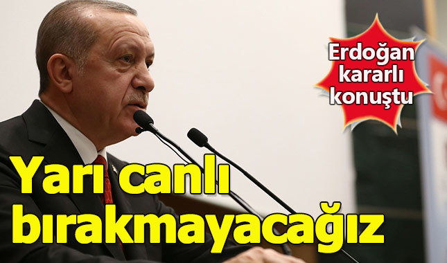 Cumhurbaşkanı Erdoğan: "Ejderhayı yarı canlı bırakmayacağız"