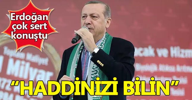 Cumhurbaşkanı Erdoğan: Türkiye yeni bir kurtuluş savaşı veriyor