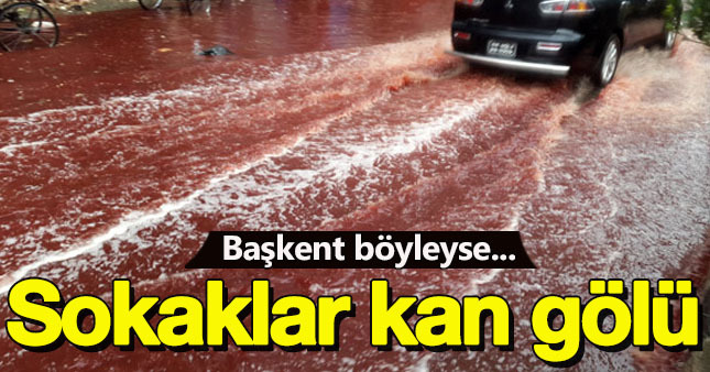 Dakka kan gölüne döndü