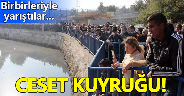 Deredeki cesedin fotoğrafını çekmek için yarışa girdiler