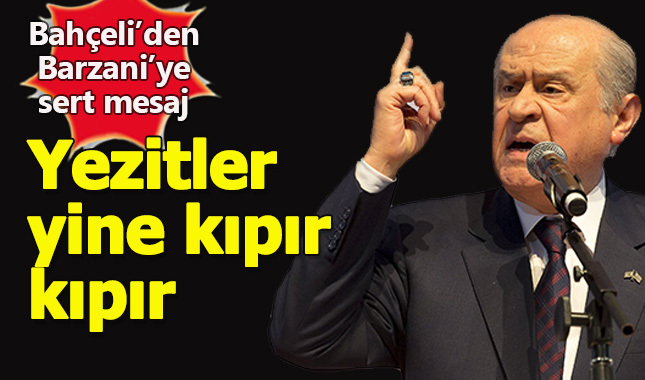 Devlet Bahçeli'den Kerbela mesajı