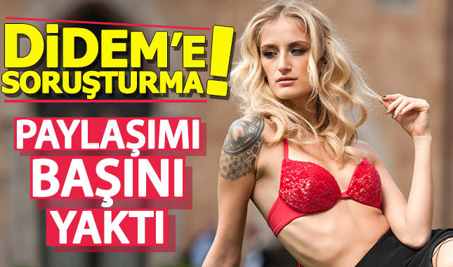 Didem Soydan'a terör suçundan soruşturma açıldı