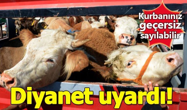 Diyanet uyardı: Kurbanınız geçersiz sayılır (Kurban alırken nelere dikkat edilmeli?)