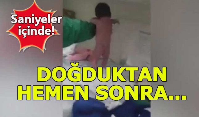 Doğar doğmaz yürümeye başladı
