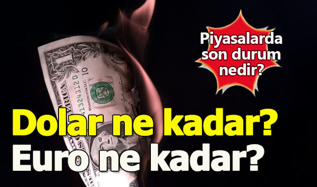 Dolar kaç TL? Euro Kaç TL? Piyasalarda son durum nedir?