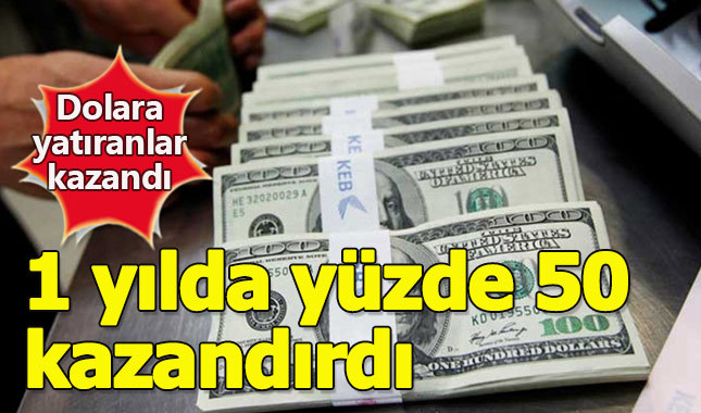 Dolara yatırım yapanlar 1 yılda yüzde 50 kazandı