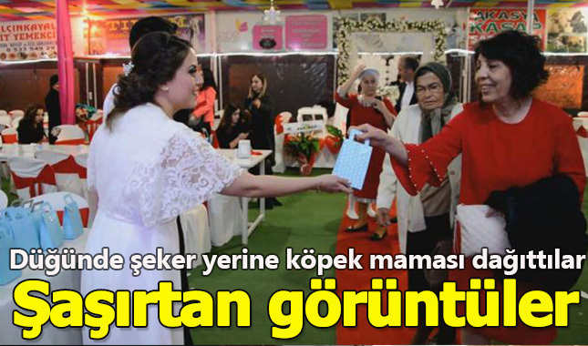 Düğünde davetlilere nikah şekeri yerine köpek maması dağıttılar